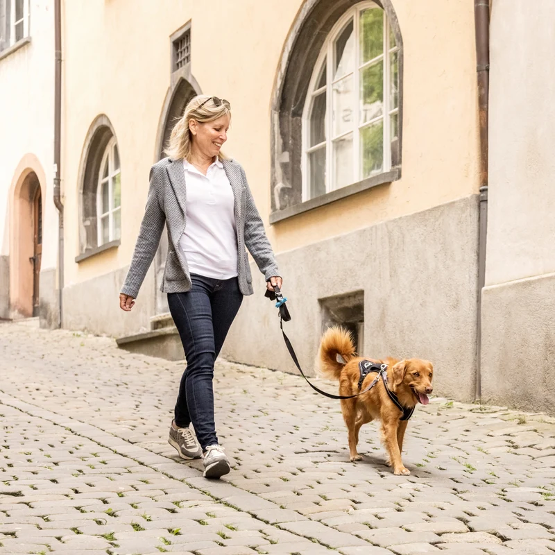Curli Adjustable Nylon Leash for Dogs