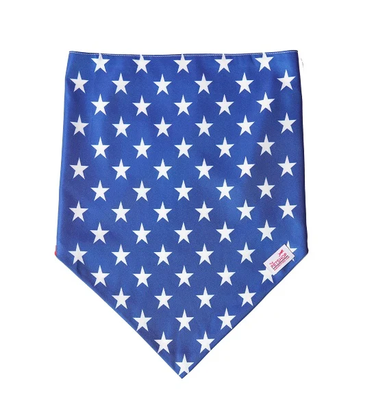 ZiggyDog USA Flag Dog & Cat Bandana
