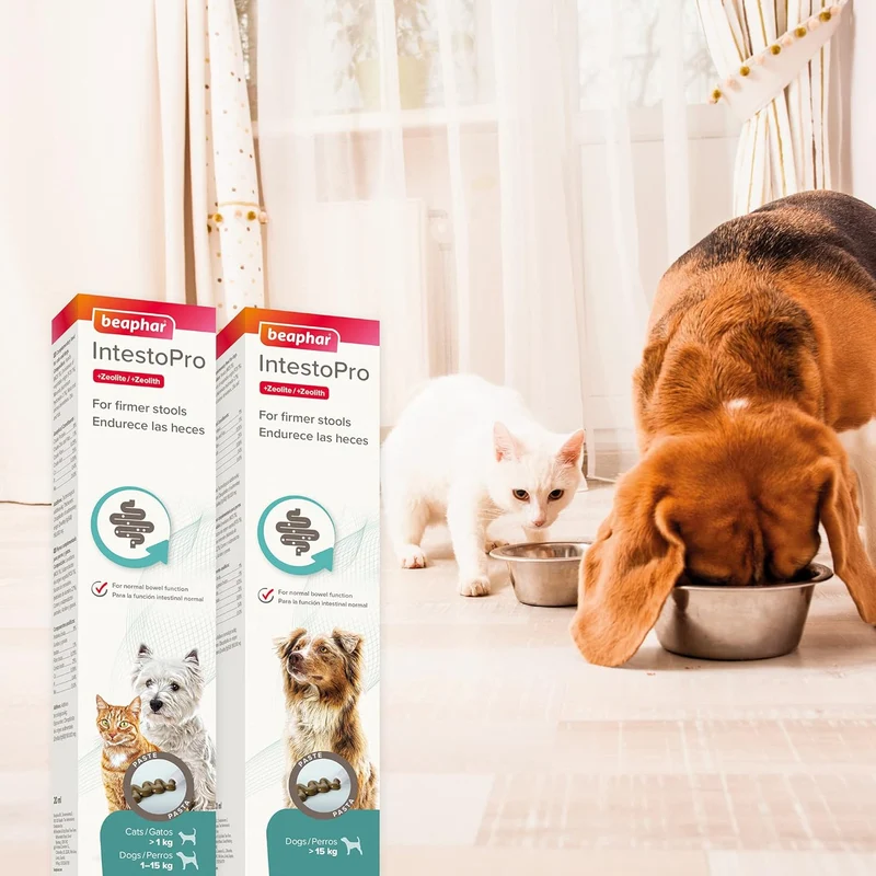 Beaphar Intestopro Anti Diarrhea Paste Syringe for Small Dogs & Cats 20ml