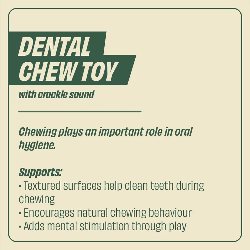 GiGwi Toothbrush Stick Dental Chew with Crackle 22x5x5cm