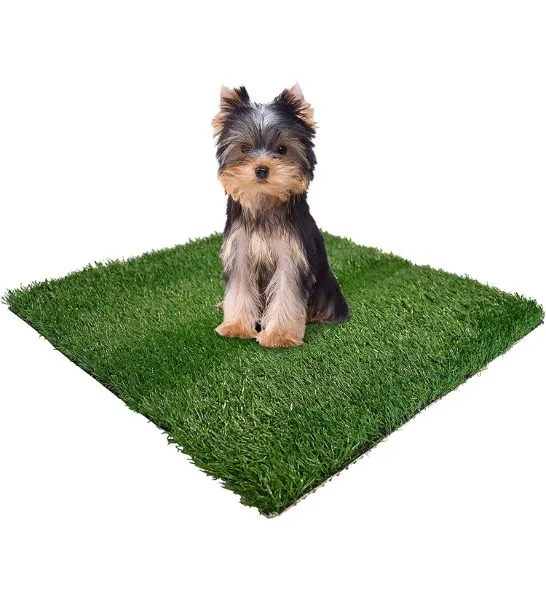 Four Paws Wee-Wee Patch Replacement Grass for Dogs