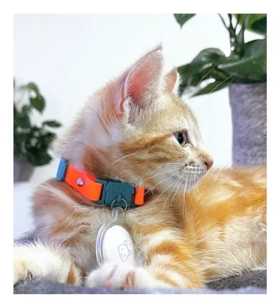 Kittyrama Tangerine Kitten Collar 14.5cm - 18.5cm