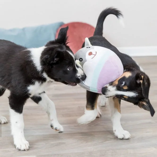 Trixie Junior Bär geräuschlos - 20 cm – waschbar bei 30°C