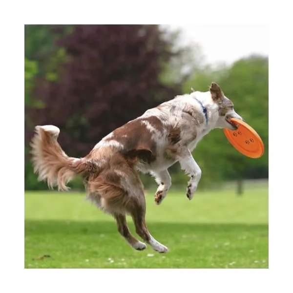 Trixie Dog Disc Frisbee – bissfest und ideal für Hundesport