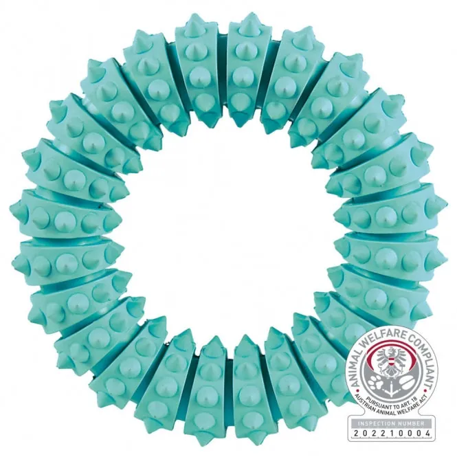 Trixie Denta Fun Ring mit Minzgeschmack – für Zahnpflege