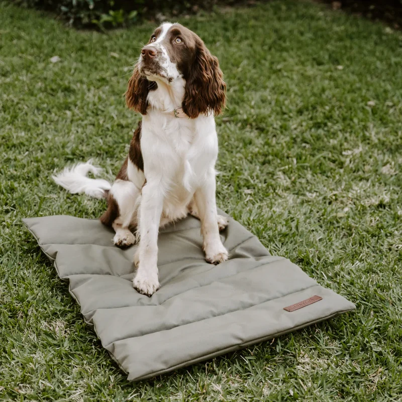 Huntlea Travel Mat For Dogs & Cats