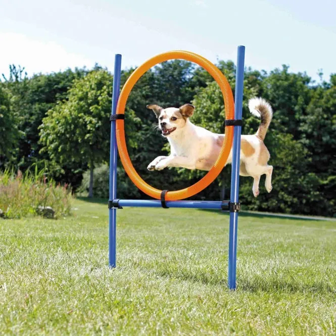 Trixie Agility Ring – höhenverstellbar und leicht zu fixieren