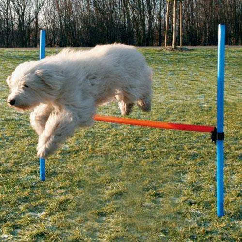 Trixie Agility Hürde – abwechslungsreiches Fitnessprogramm