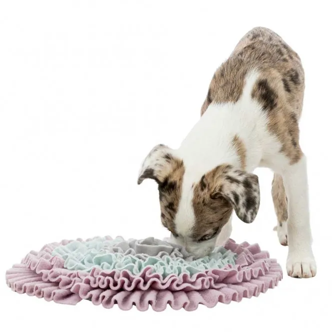 Trixie Junior Schnüffelteppich – für Welpen und Kitten