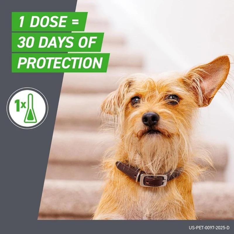 Frontline Flea & Tick Spot On Combo Treatment for Dogs & Home Protection 3 Pipettes