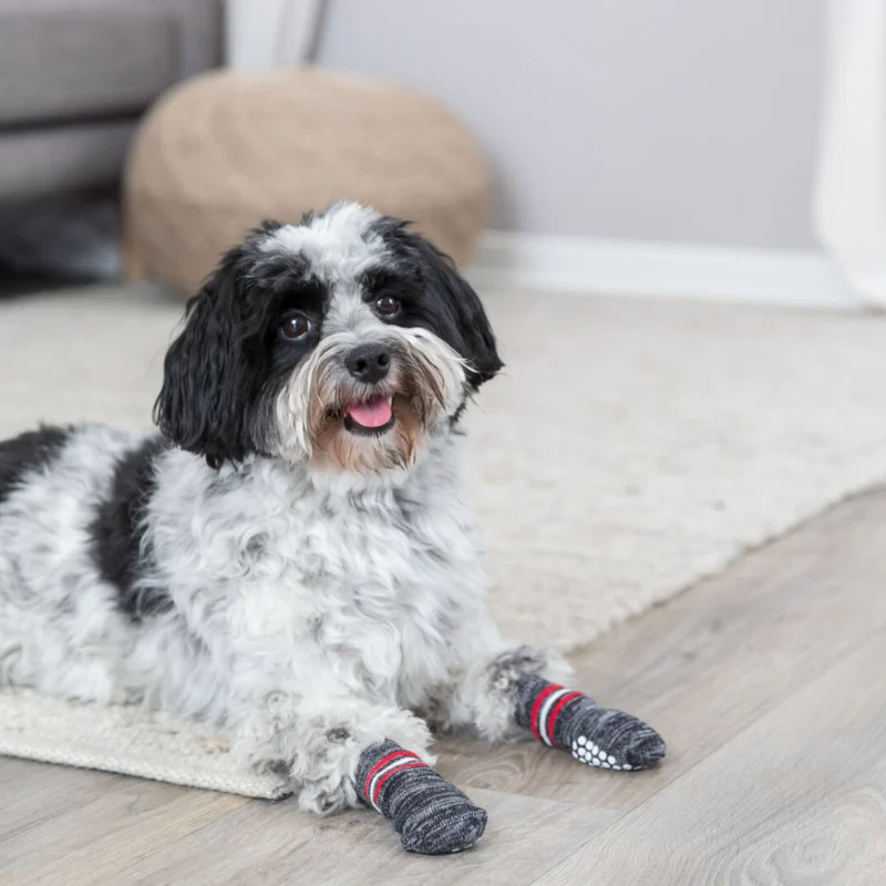 Trixie Slip-proof Socks for Dogs