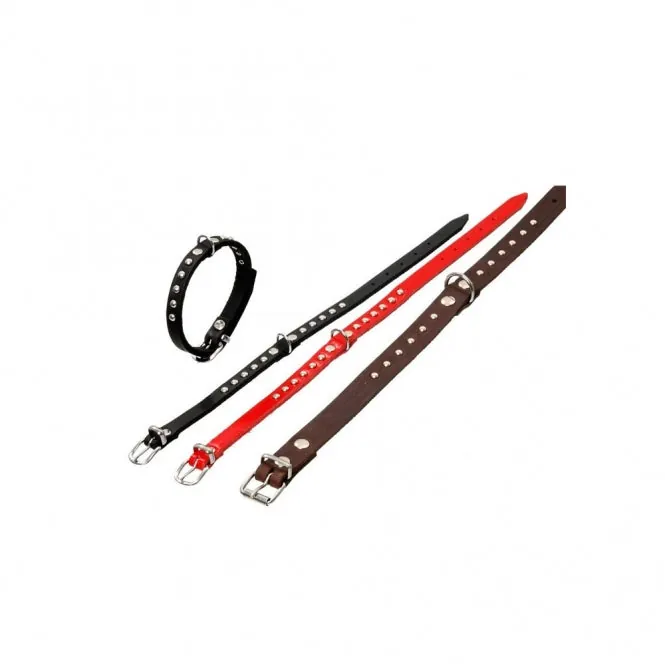 Karlie RONDO Halsband mit Ziernieten – stilvolles Design