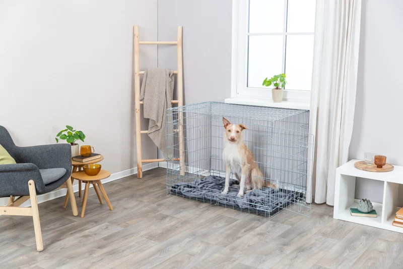 Trixie Galvanized 2 Door Wire Indoor & Travel Crate for Dogs & Cats