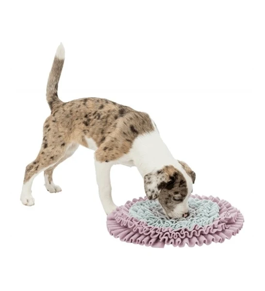 Trixie Junior Sniffling Carpet for Dogs 38cm