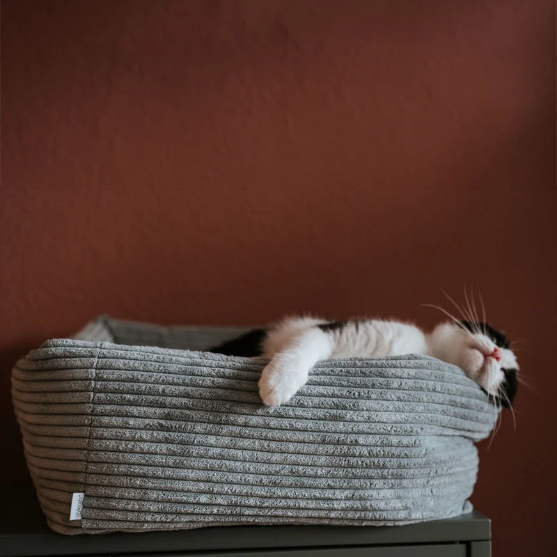 Katzenbett RIMINI S Hellgrau