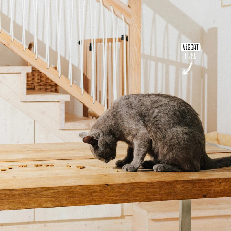VEGCAT Katzenleckerli Skincares