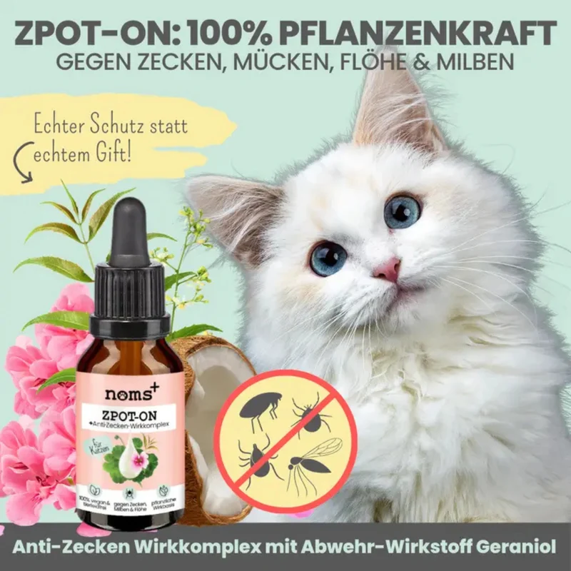 noms+ Zpot-on für Katzen