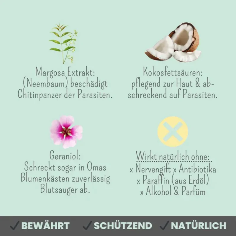 noms+ Zpot-on für Katzen