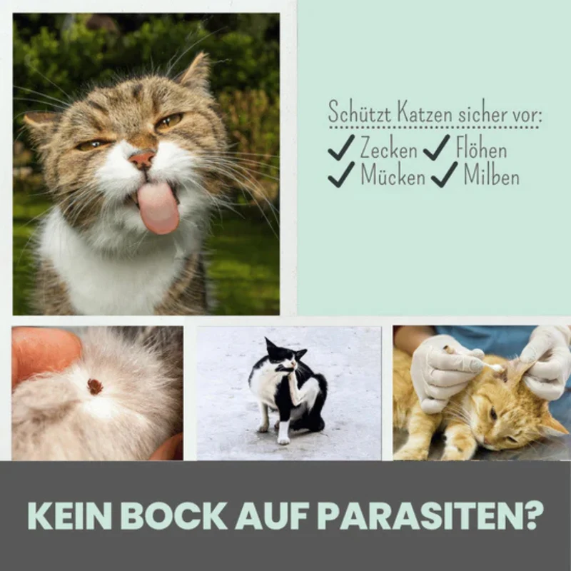 noms+ Zpot-on für Katzen