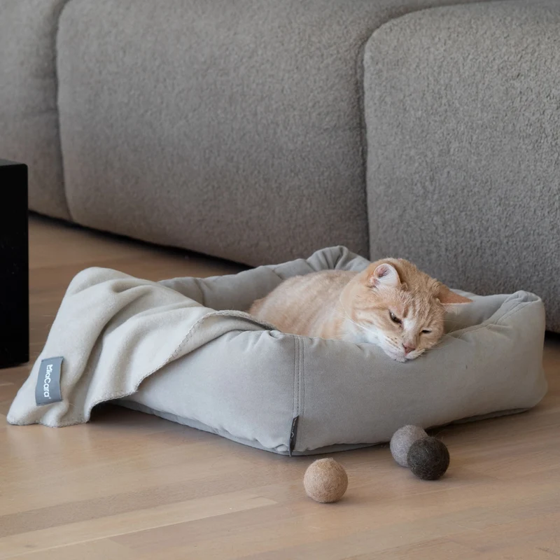 Katzendecke UNICA Salbei