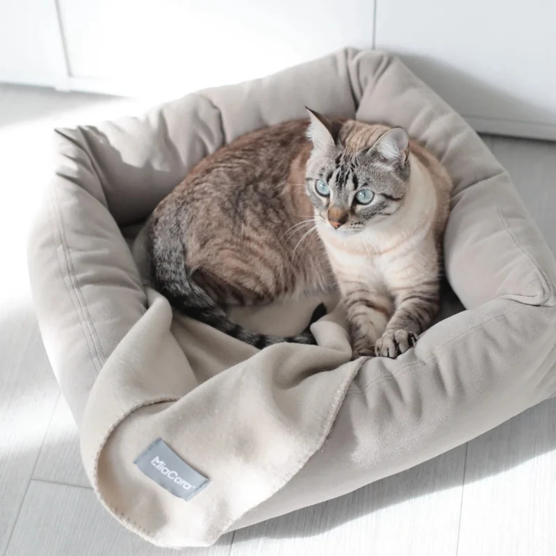 Katzendecke UNICA Greige