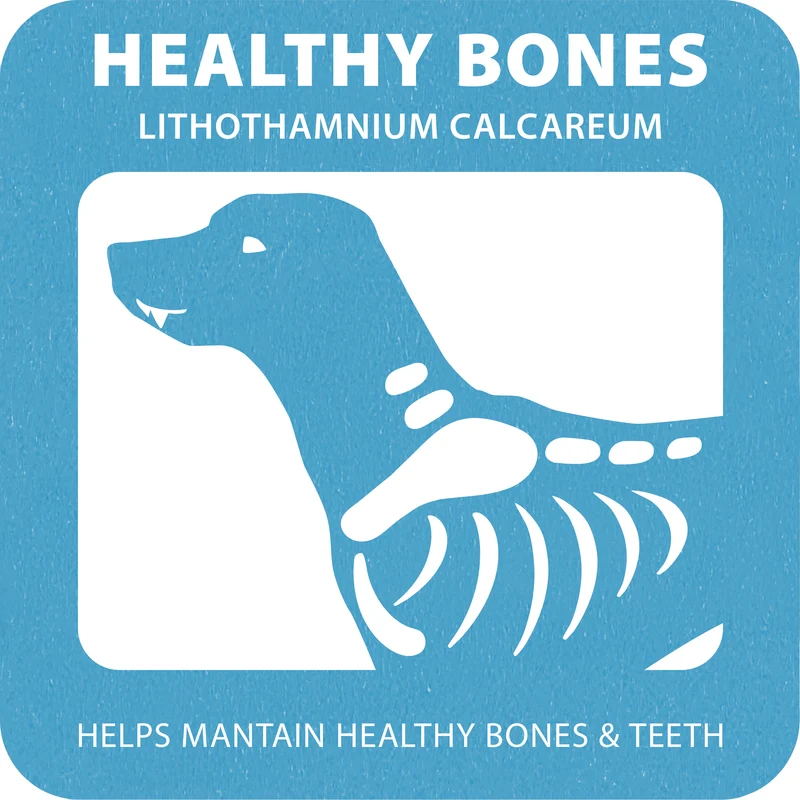100% SNACK STICKS - SNOWFLAKE LITHOTHAMNIUM
