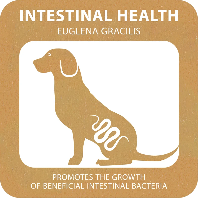 100% SNACK STICKS - FUSILLI EUGLENA