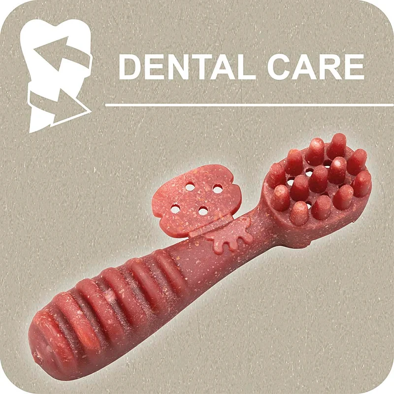 100% SNACK BEFÜLLBAR - TOOTHBRUSH YUCCA