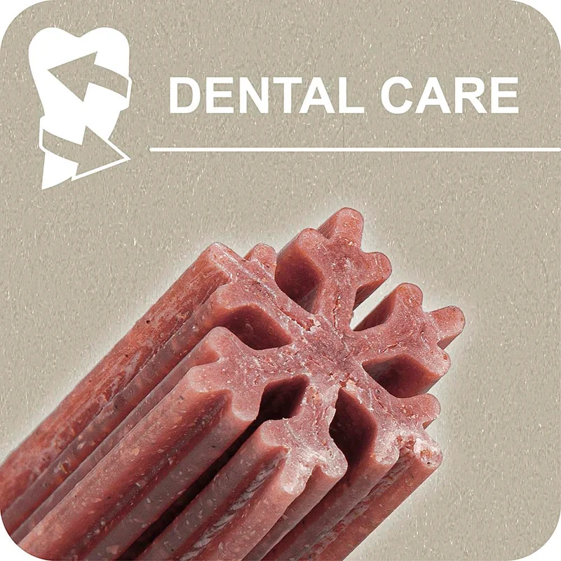 100% SNACK STICKS - SNOWFLAKE YUCCA
