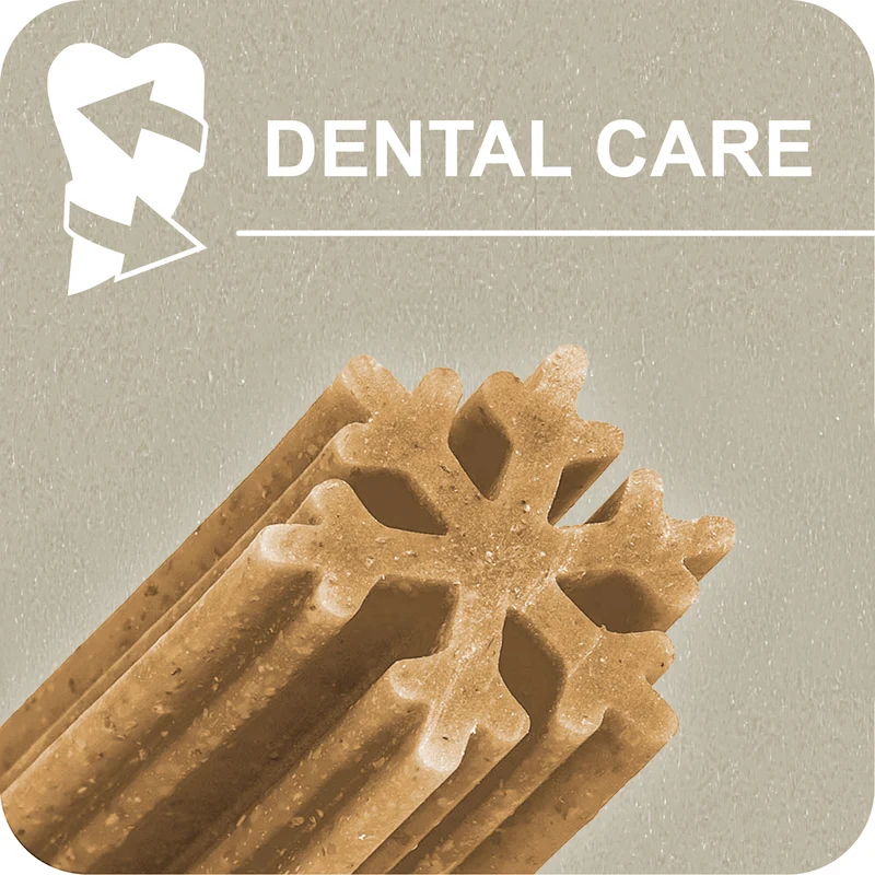 100% SNACK STICKS - SNOWFLAKE EUGLENA