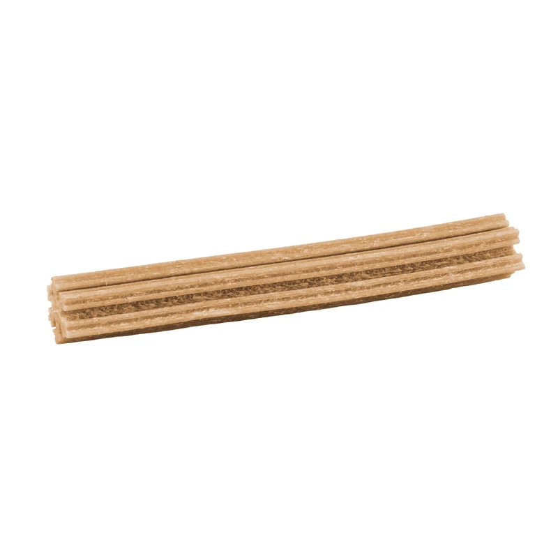 100% SNACK STICKS - SNOWFLAKE EUGLENA