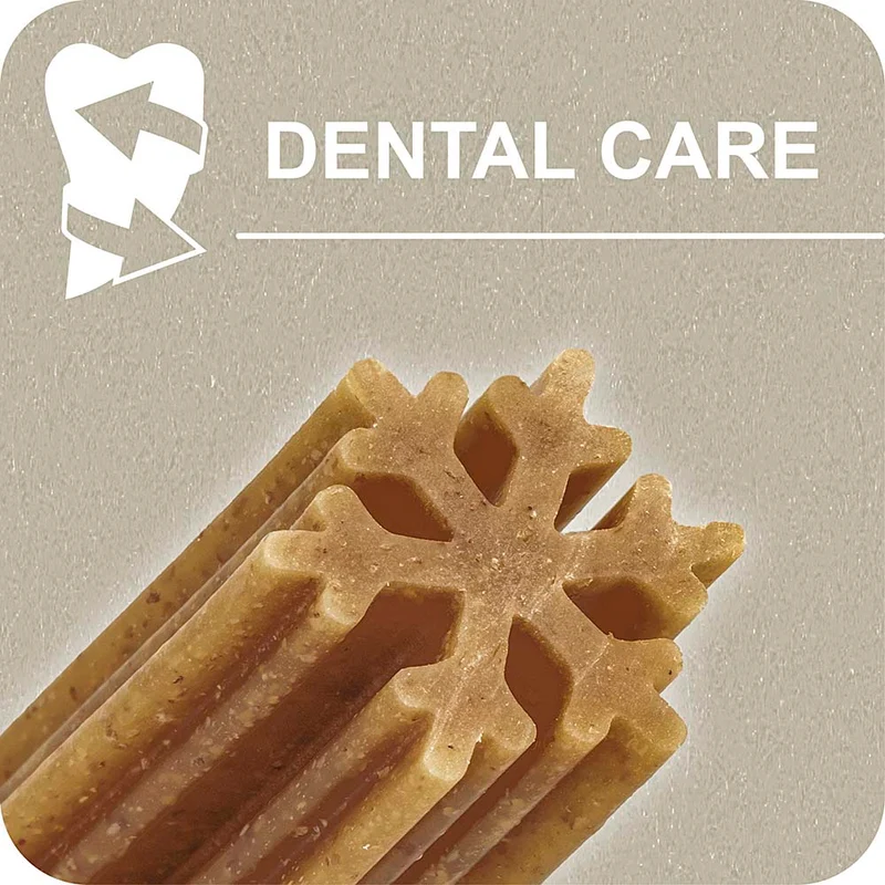 100% SNACK STICKS - SNOWFLAKE EUGLENA
