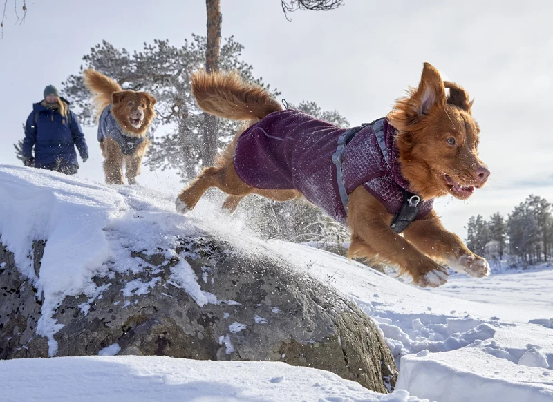 Hurtta Warming Midlayer ECO – wärmende Hundejacke