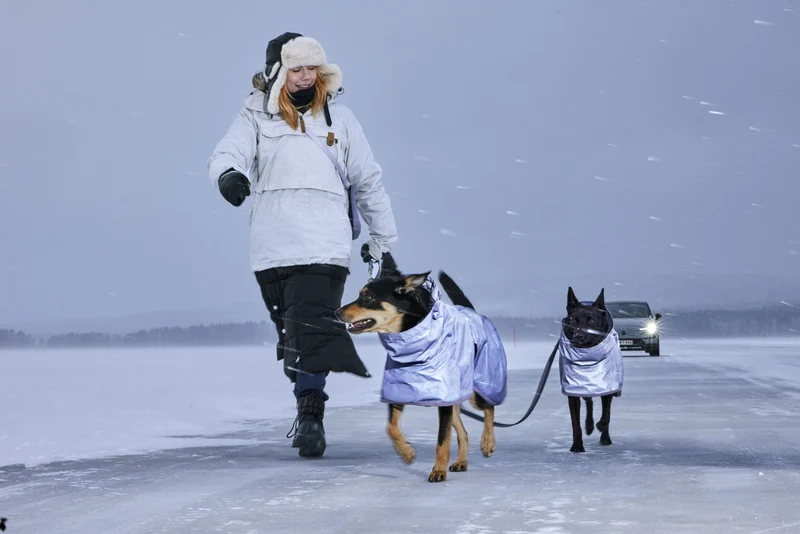 Hurtta Mudventure Reflective Coat – reflektierender Regenmantel für Hunde