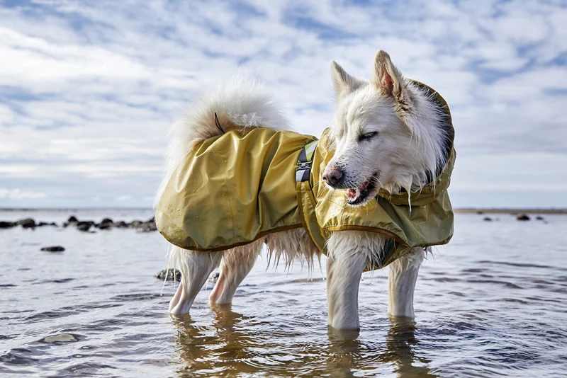 Hurtta Mudventure Reflective Coat – reflektierender Regenmantel für Hunde