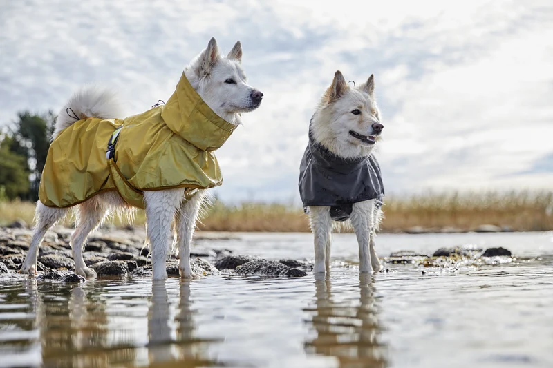 Hurtta Mudventure Reflective Coat – reflektierender Regenmantel für Hunde