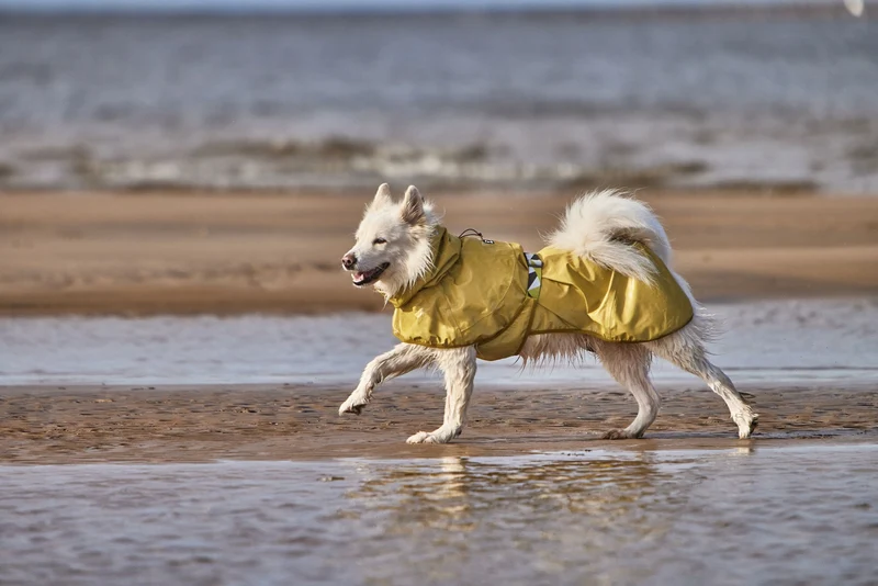Hurtta Mudventure Reflective Coat – reflektierender Regenmantel für Hunde