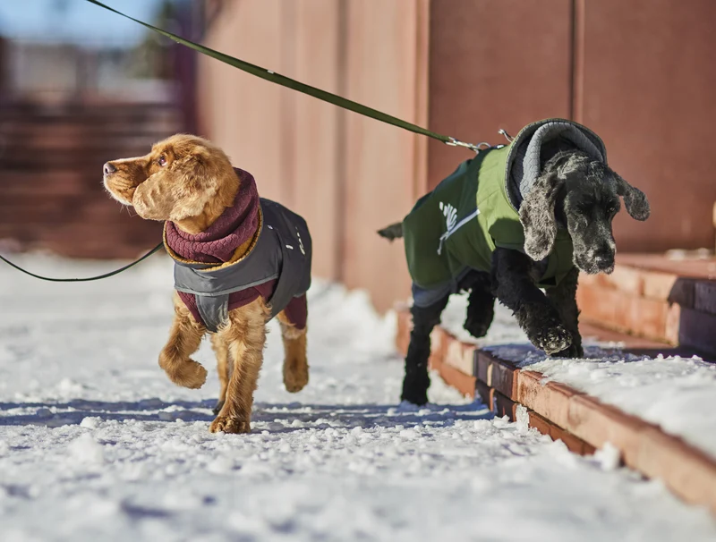 Hurtta Hundejacke Walk All-Season Jacket