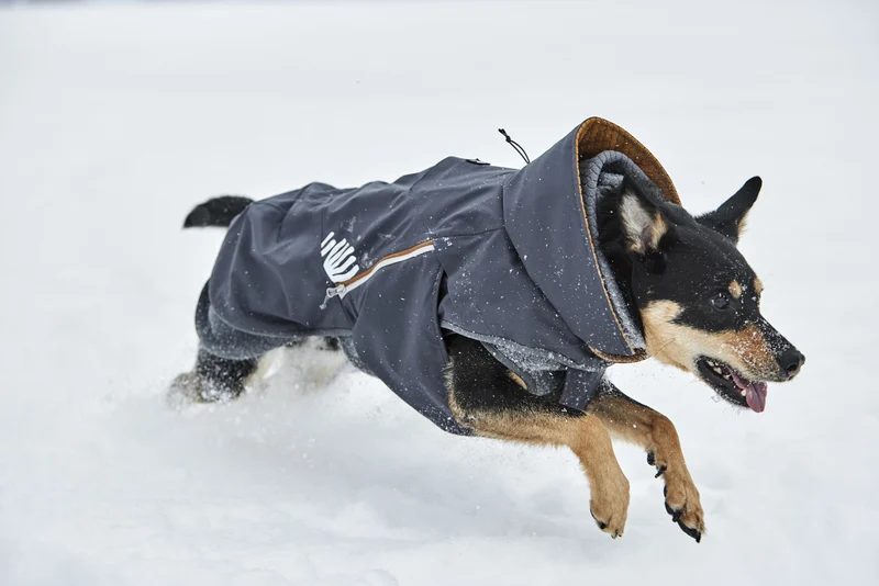 Hurtta Hundejacke Walk All-Season Jacket