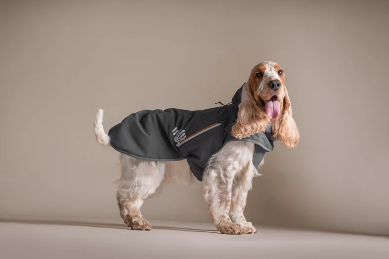 Hurtta Hundejacke Walk All-Season Jacket