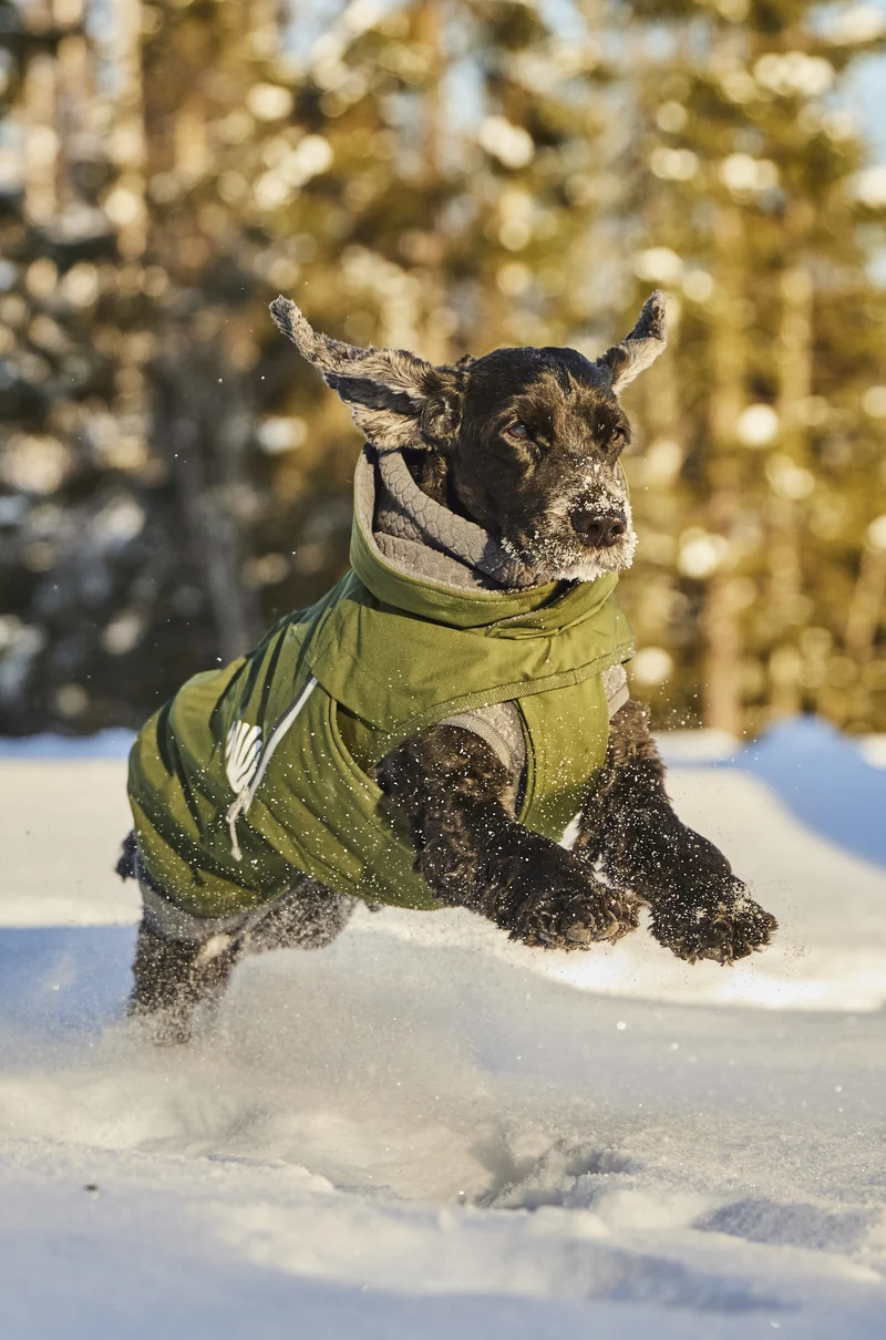Hurtta Hundejacke Walk All-Season Jacket