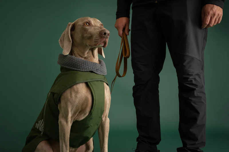 Hurtta Hundejacke Walk All-Season Jacket