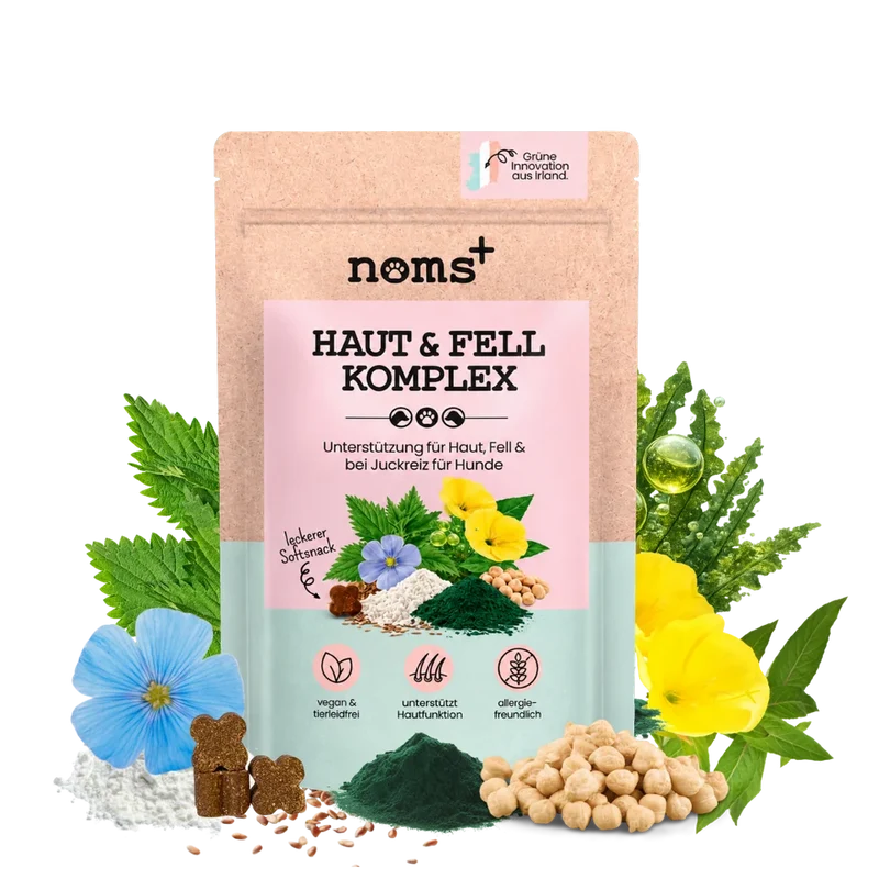 noms+ Haut & Fell Komplex für Hunde | ecopetique