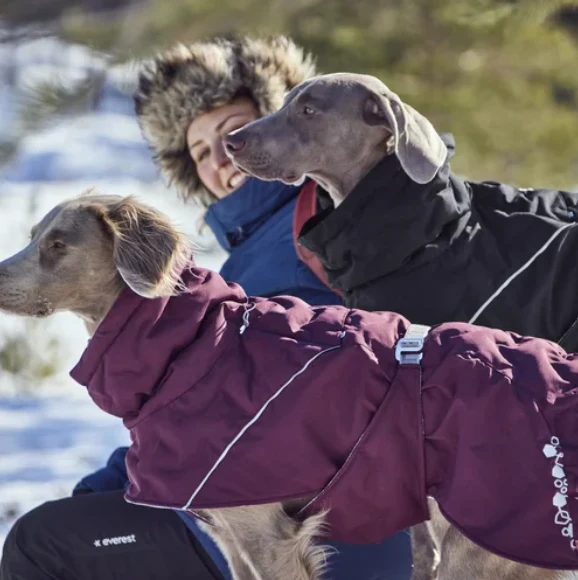 Hurtta Winterjacke Extreme Warmer III