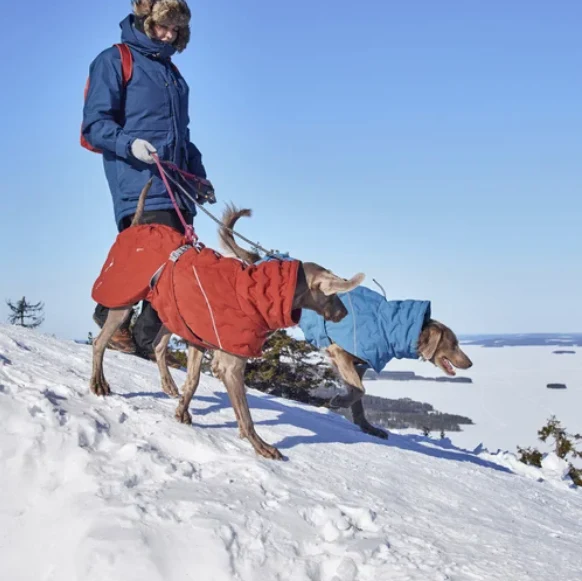 Hurtta Winterjacke Extreme Warmer III