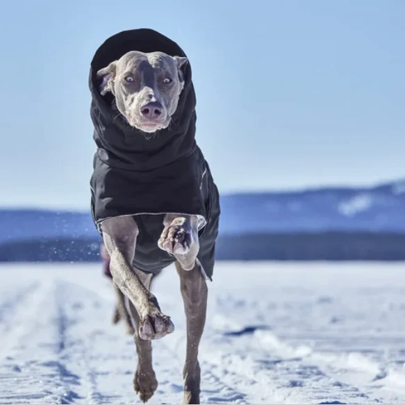 Hurtta Winterjacke Extreme Warmer III