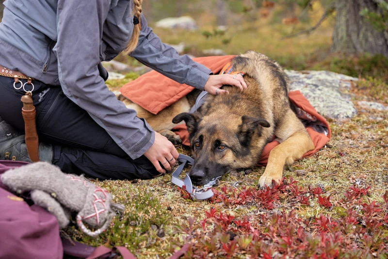 Hurtta Sleepover Hunde-Schlafsack – warm & wetterfest für unterwegs