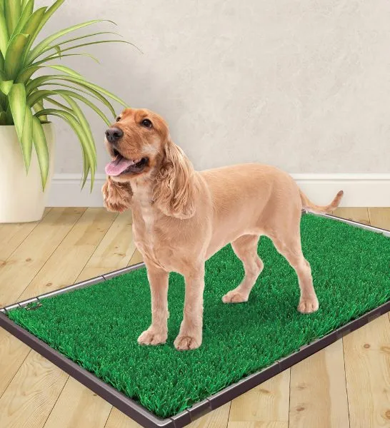 Four Paws Wee Wee Potty Patch Extension Set for Dogs 75x50cm