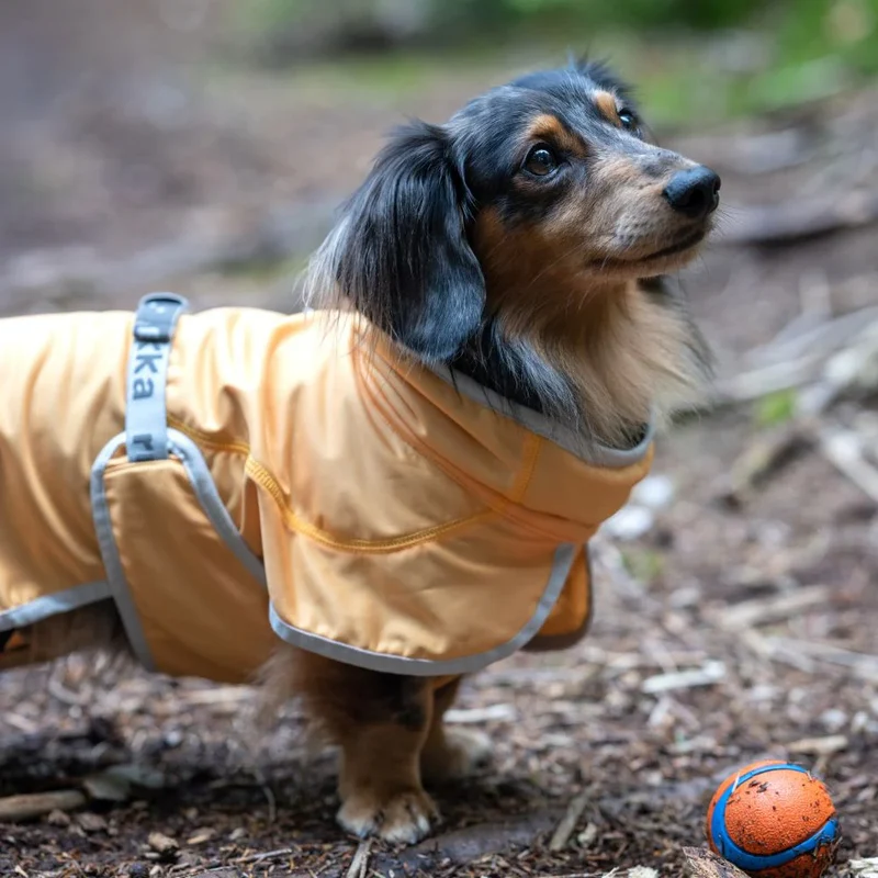 Rukka Crisp UV Cooling Jacket – UV-Schutz- & Kühljacke für Hunde