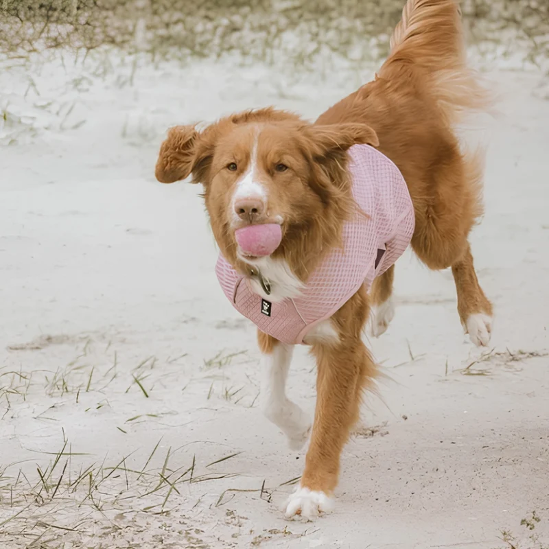 Hurtta Cooling Wrap Kühlweste für Hunde
